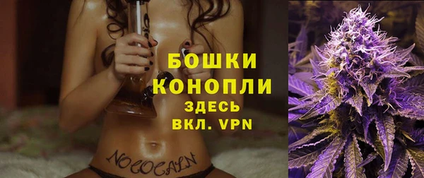 трава Аркадак