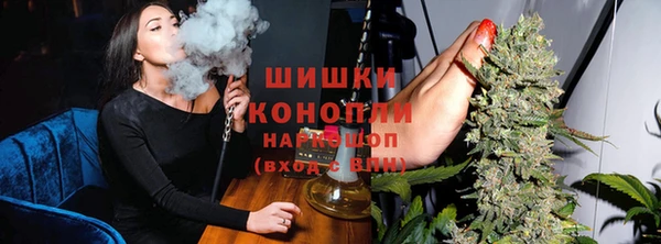 трава Аркадак