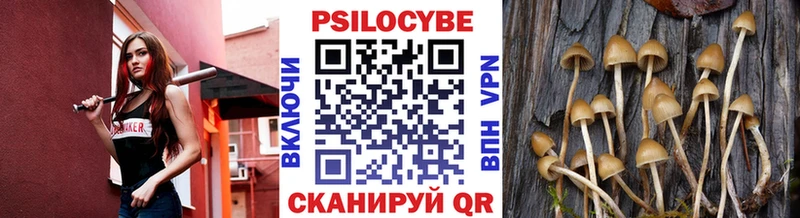 мега ССЫЛКА  купить  сайты  Полярный  Галлюциногенные грибы GOLDEN TEACHER 
